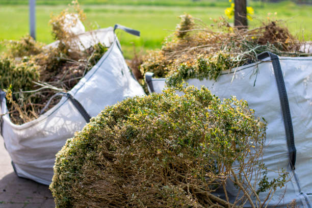 Best Same-Day Junk Removal  in Poplarville, MS